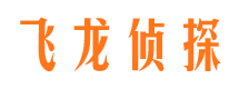 罗田侦探公司